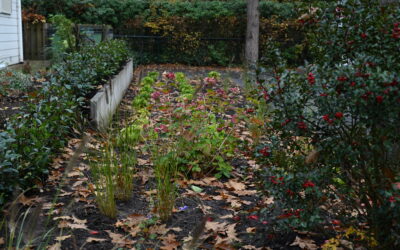 Beplanting