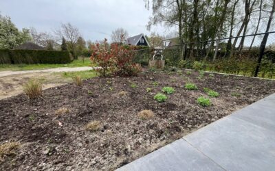 Realisatie tuin & infiltratieput